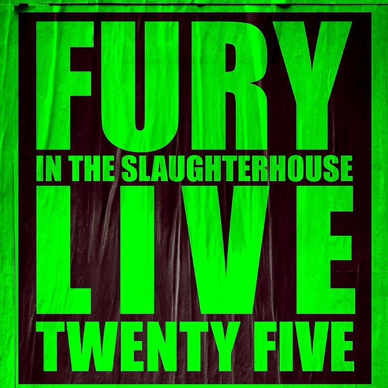 Fury In The Slaughterhouse