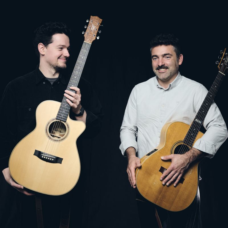 The Guitarists
